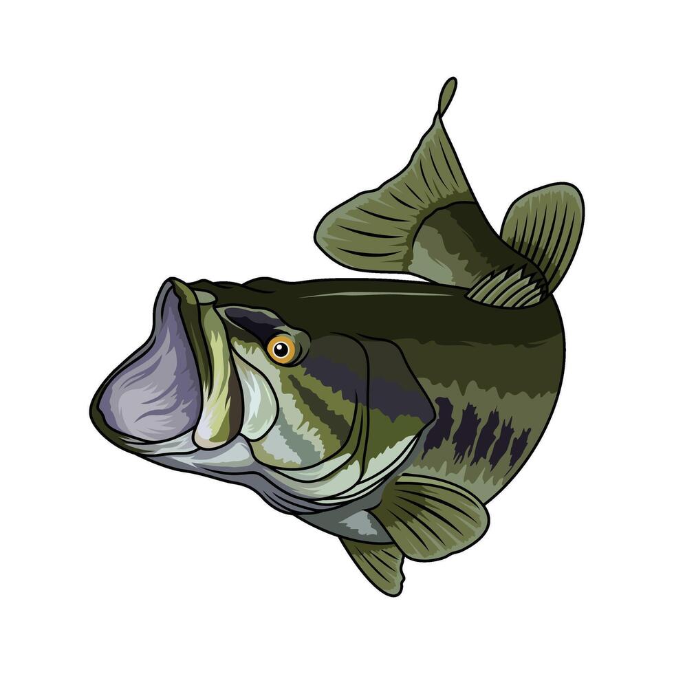 bass fishing illustration with a contorted body chasing prey vector