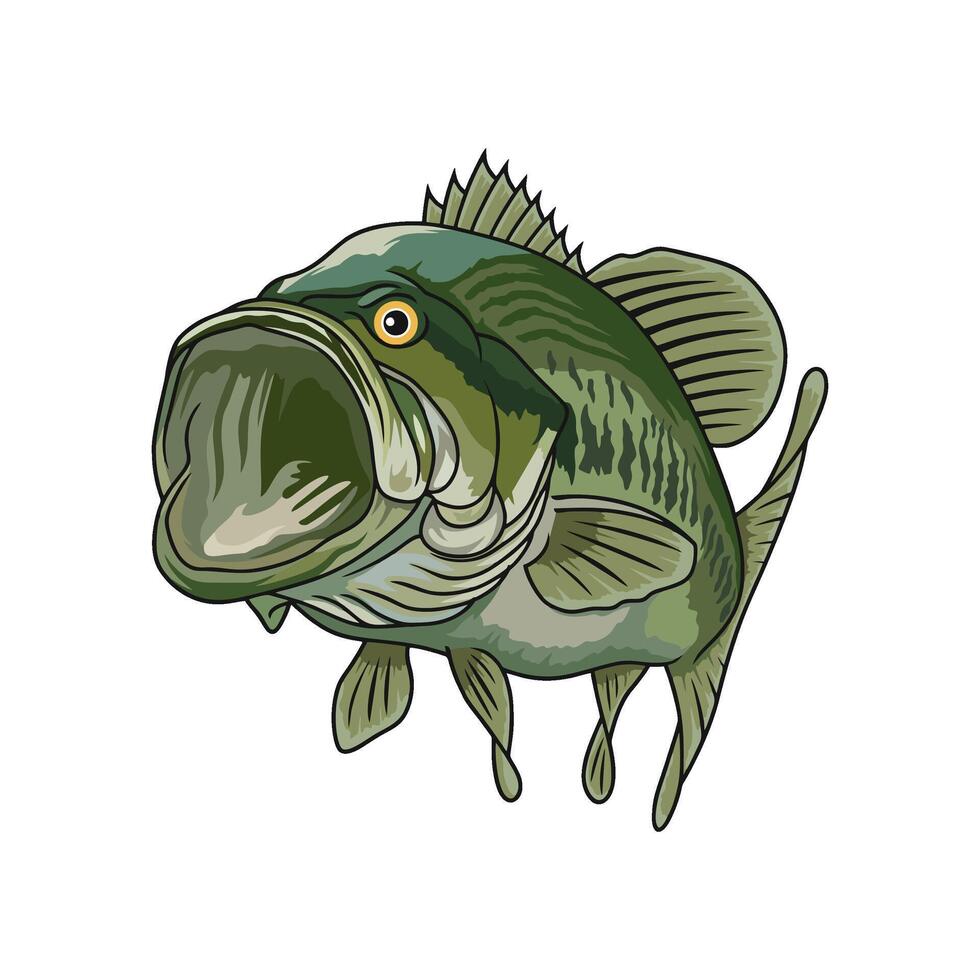 bass fishing illustration seen from the front with mouth wide open vector