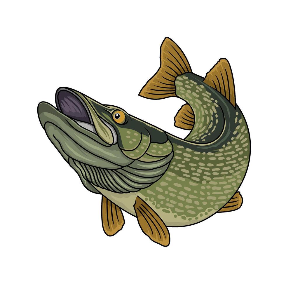 Pike Fish Fishing Design vector