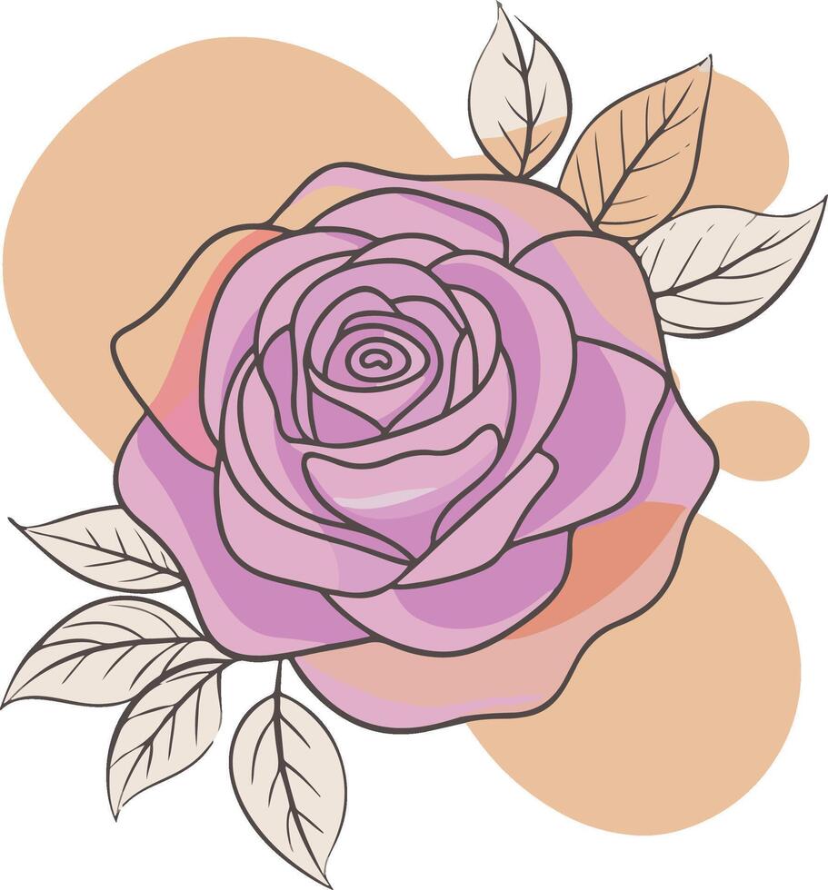 a rose line art illustration with color blobs style vector