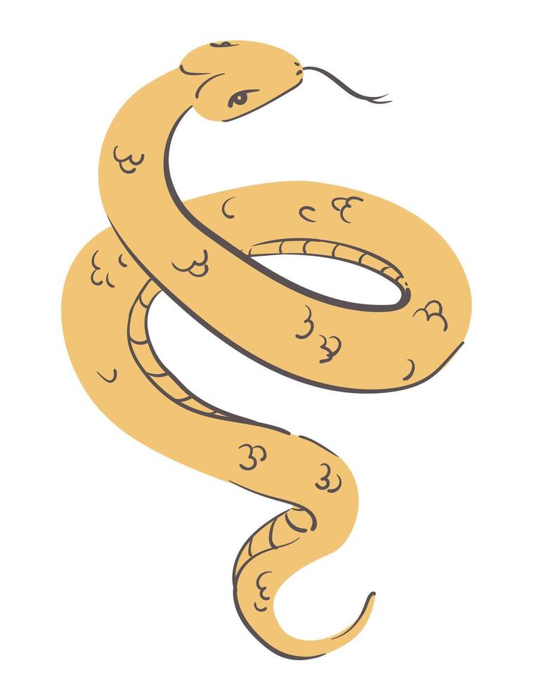 illustration of snake isolated on white background. vector