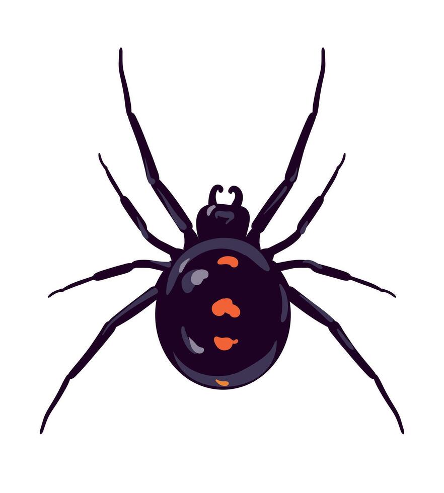 Spider black widow Latrodectus occidentalis. Black spider with red spots in flat style. Dangerous poisonous insect on white background. illustration. vector