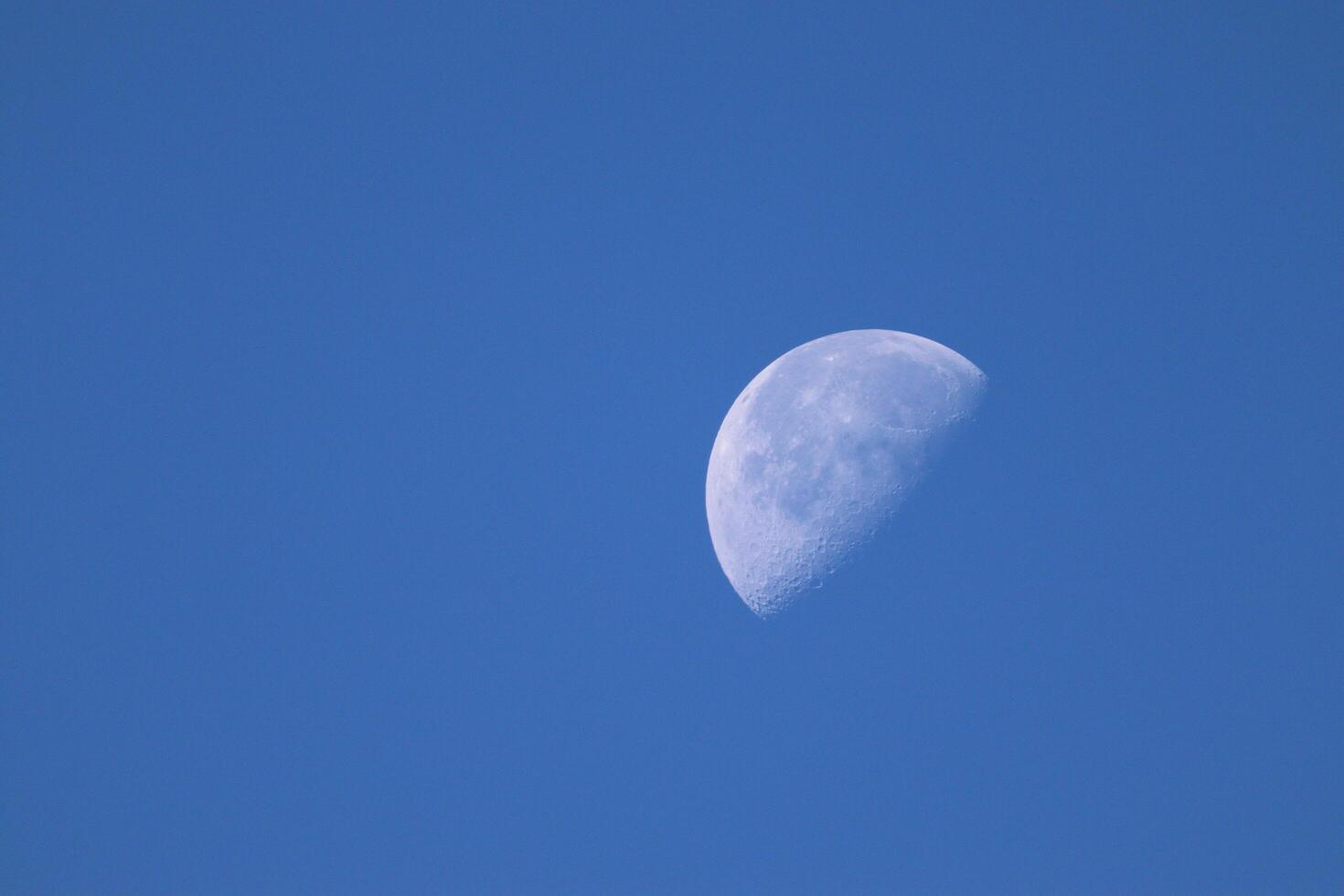 Partial moon during the day photo