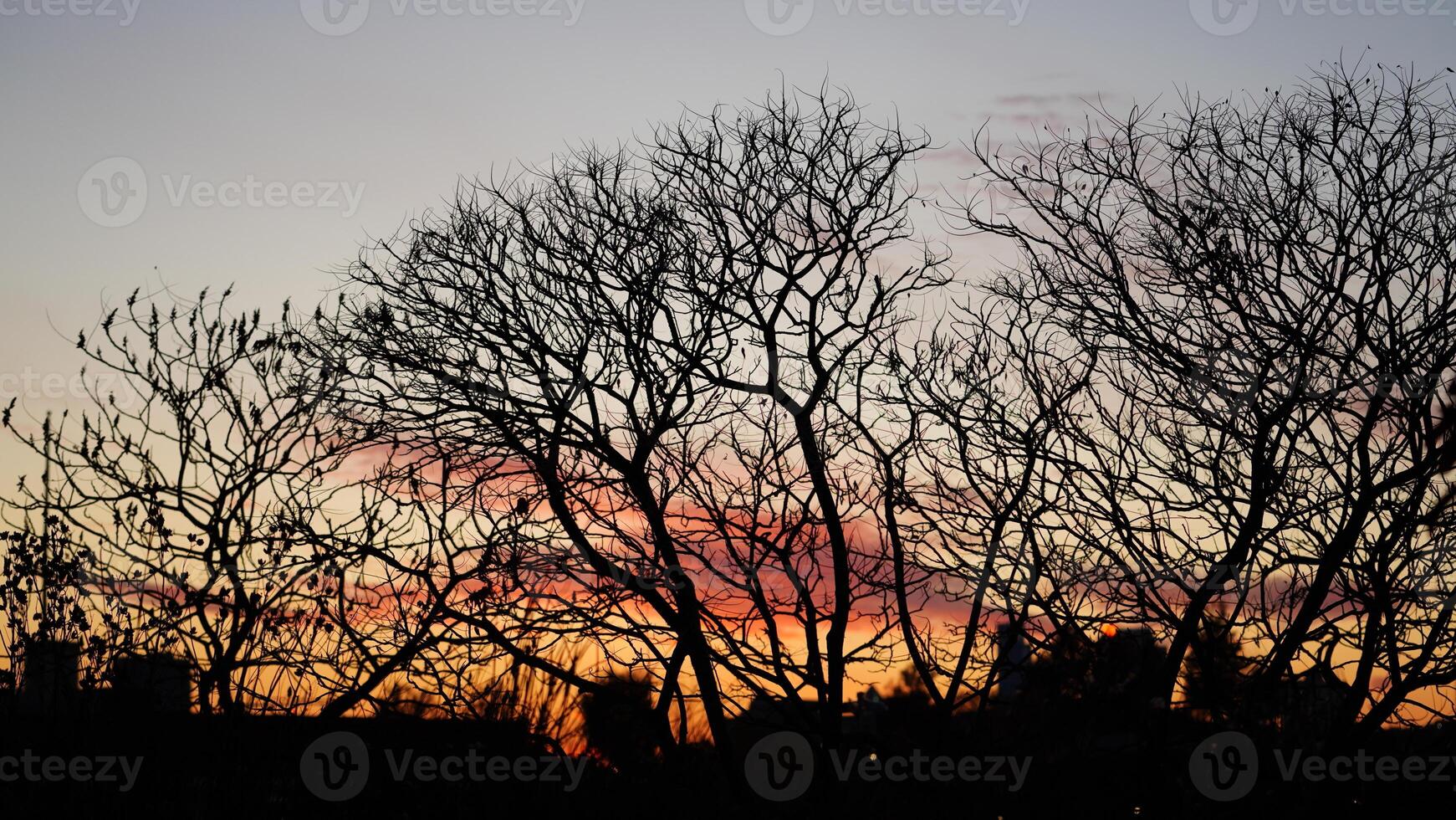 The beautiful city sunset view with the blue time sky in the New York photo