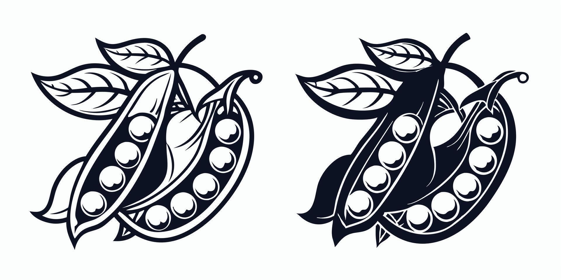 creative two peas with leaves and pods on a white background vector