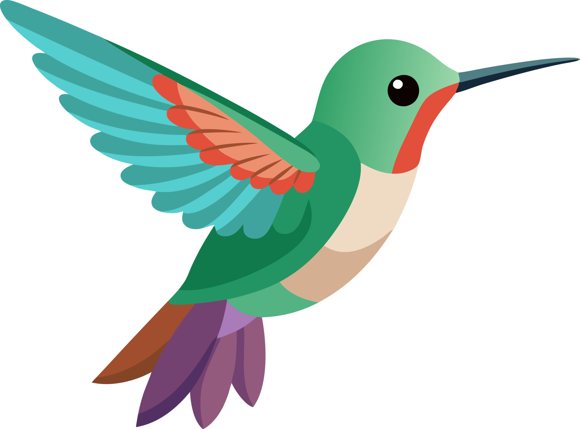 Anna S Hummingbird Cartoon 49896815 PNG
