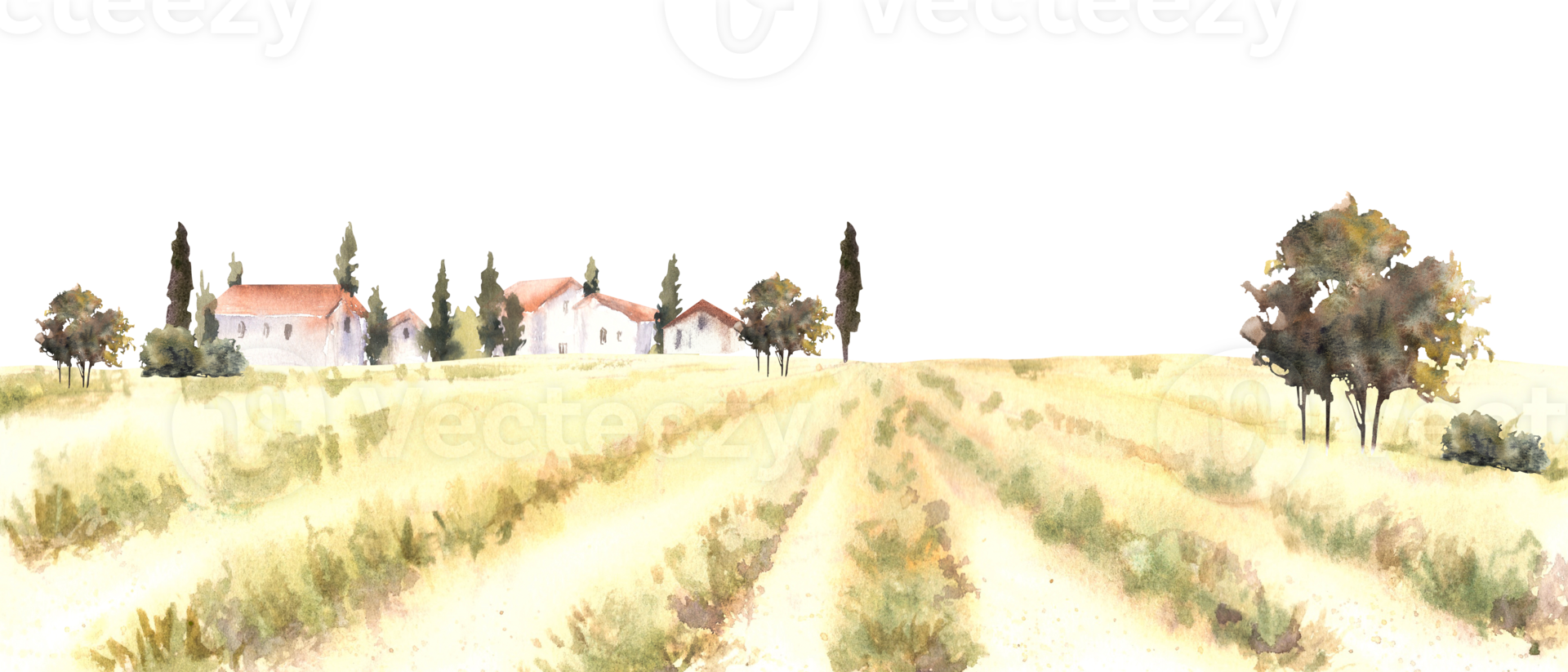 Landscape with field, villa, farmhouse, bushes, fruit trees, cypresses. Watercolor Italian, France summer, fall Hills, and valleys, natural rustic scene. Hand draw illustration on isolated background png