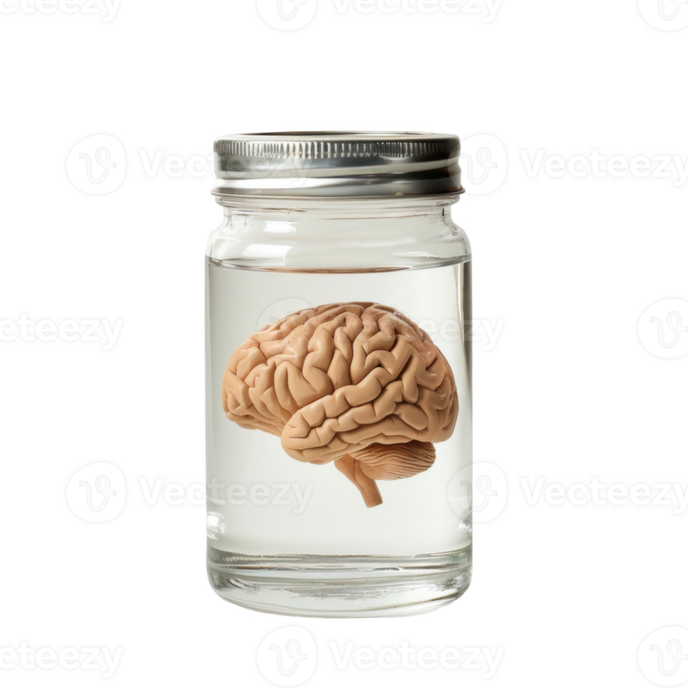 A Human Brain Preserved in a Glass Jar png