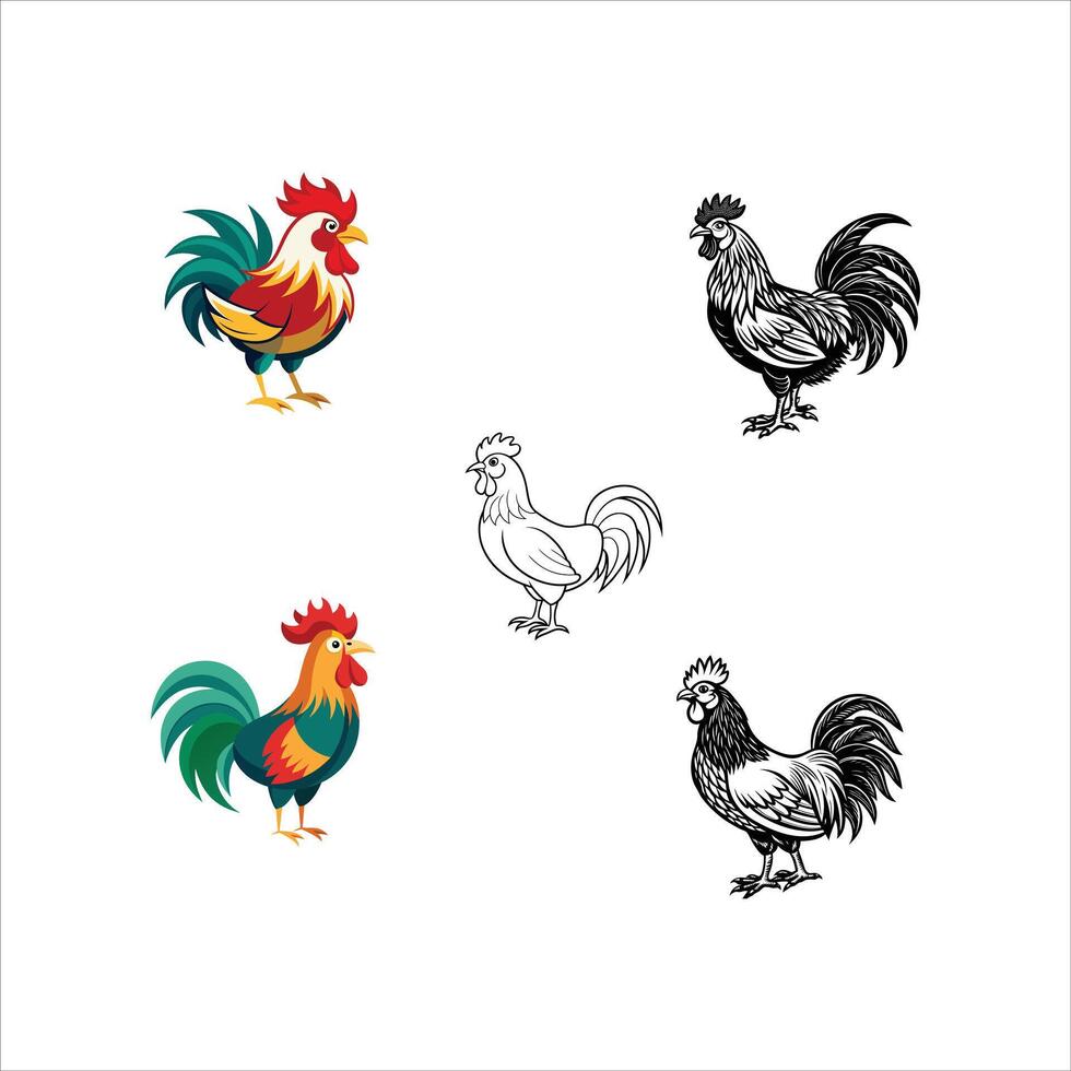 rooster set of four different roosters on white background vector
