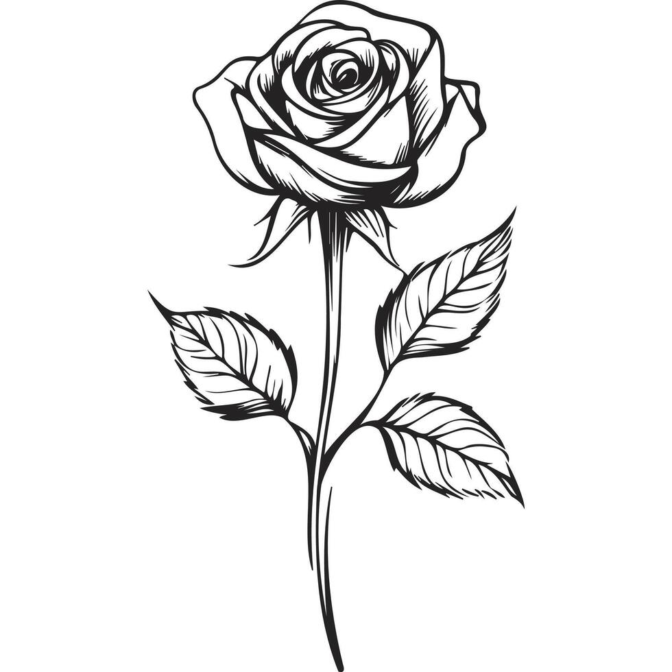 Minimalist Monoline Rose vector
