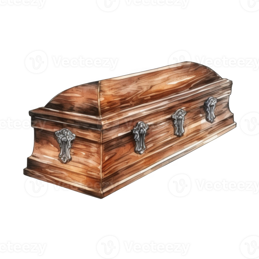 Wooden Coffin with Silver Handles png