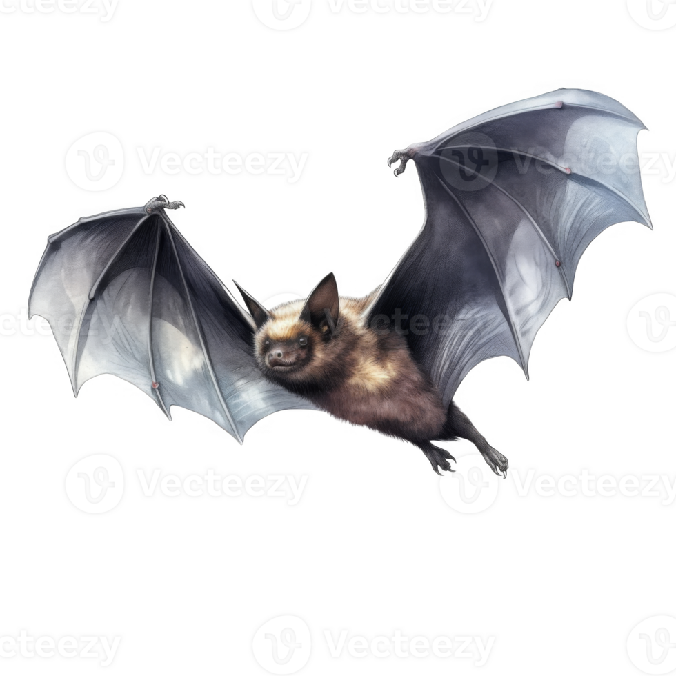 A Brown Bat in Flight with Spread Wings png