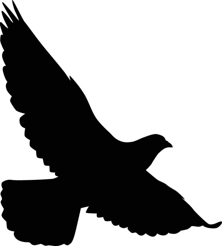 A black silhouette of a bird flying vector