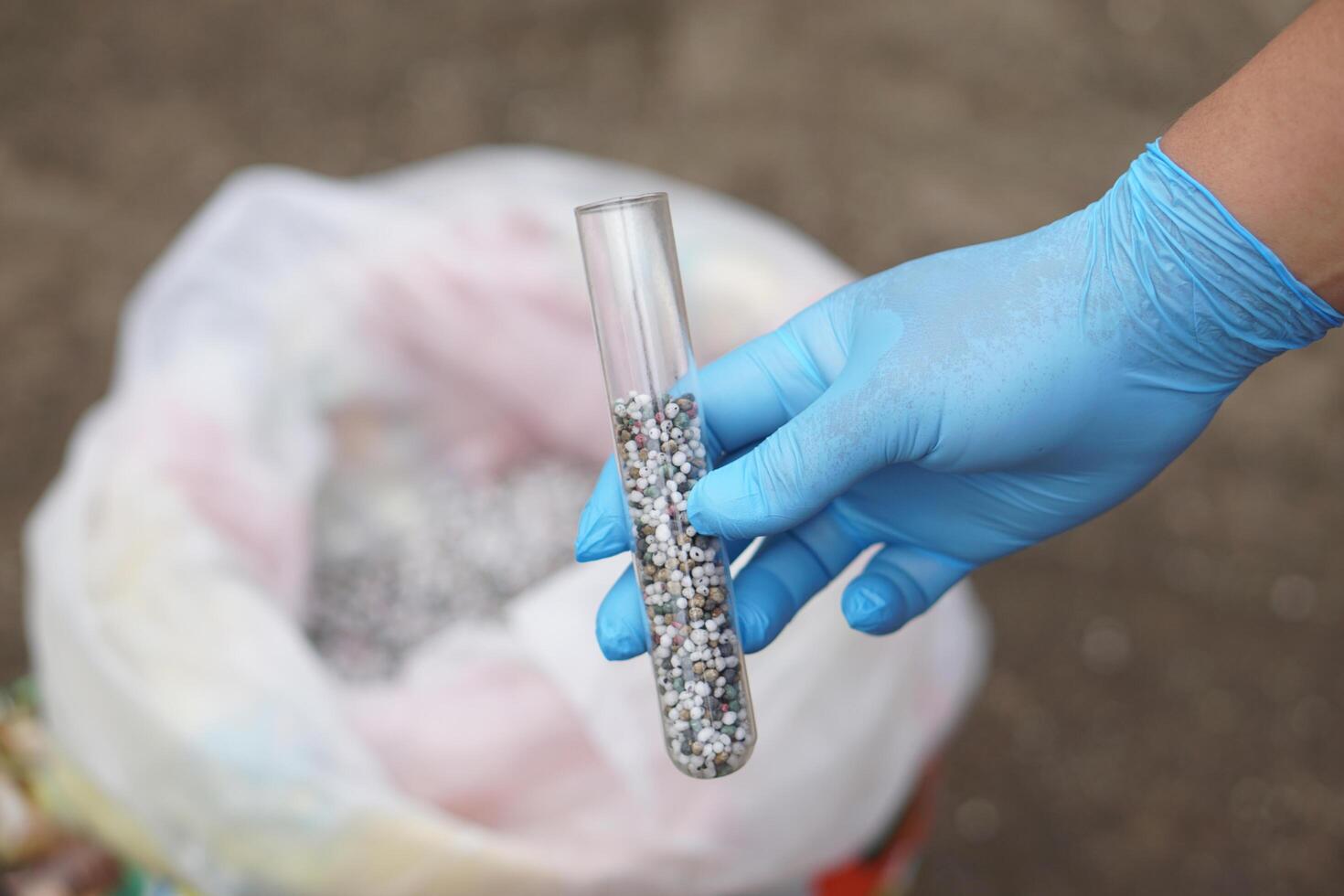 Close up hand wear blue glove hold glass tube contains sample chemical fertilizers. Concept, research the formula of chemical fertilizer production that use in agriculture to develop the best quality photo