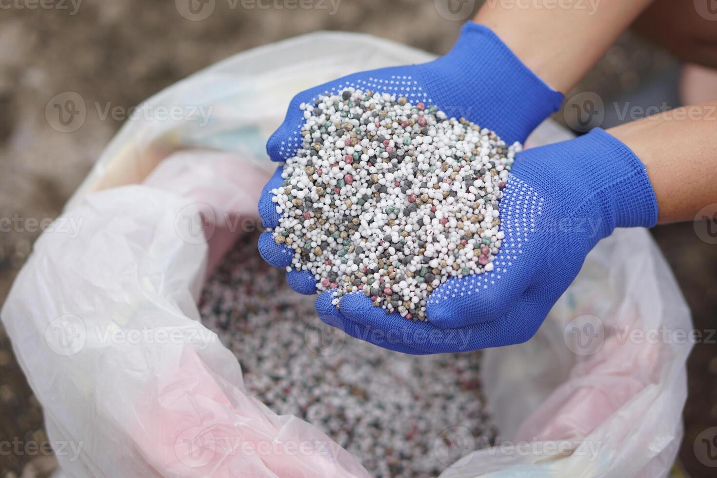 Close up hands hold mixed chemical fertilizer. Concept chemical fertilizer production use in agriculture consists of basic nutrients which are Nitrogen AND, Phosphate P2O5and Potassium K2O. photo