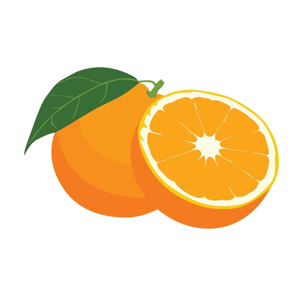 FRESH ORANGE FRUIT CARTOON vector