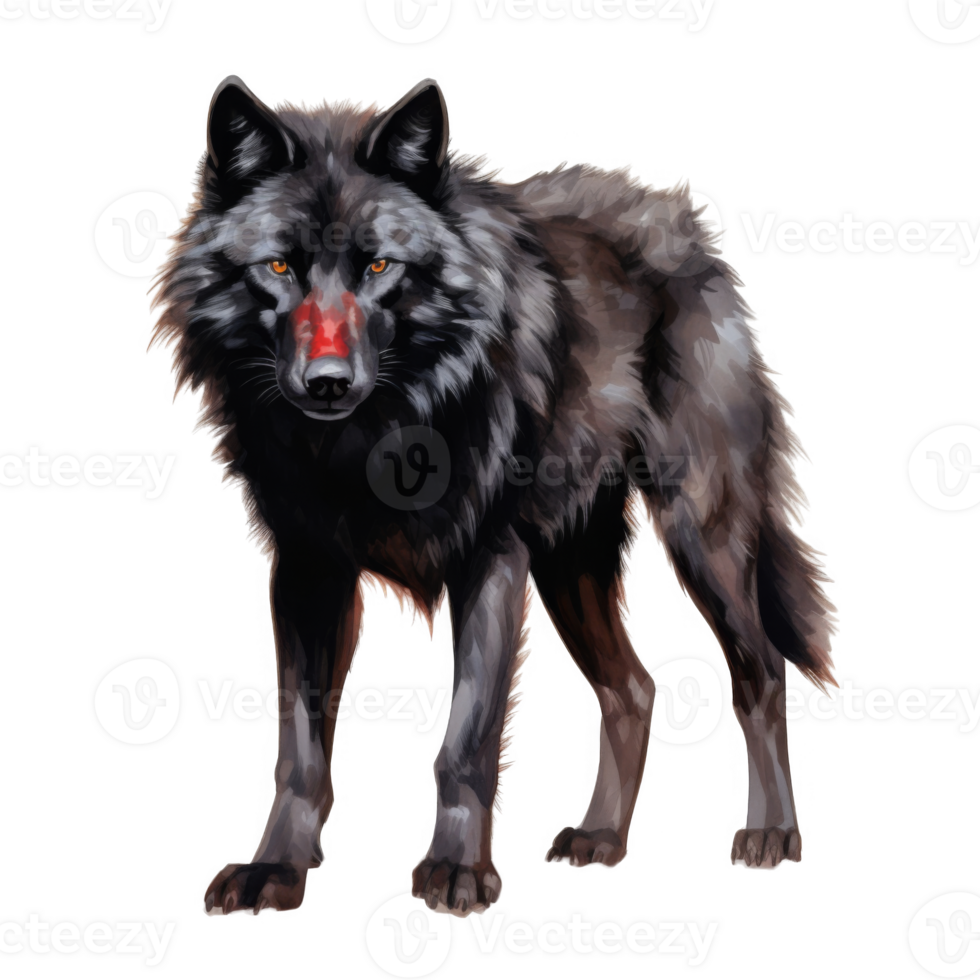 A Black Wolf with Orange Eyes and Red Nose png