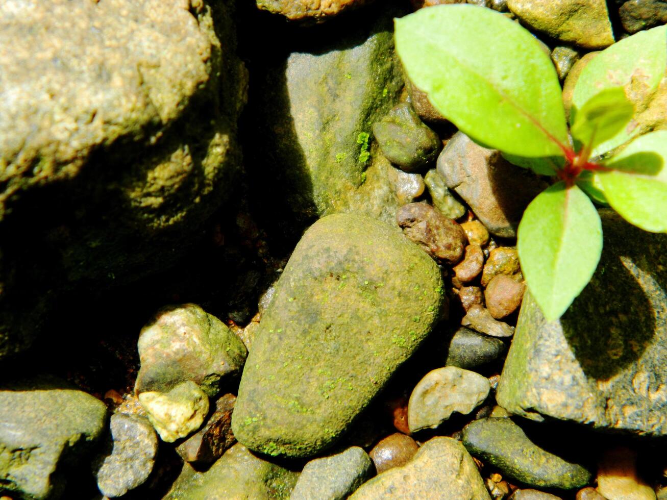 Abstract background with mountain rocks. Large shaped rocks that can be found on the shore of the sea, lake or river. photo