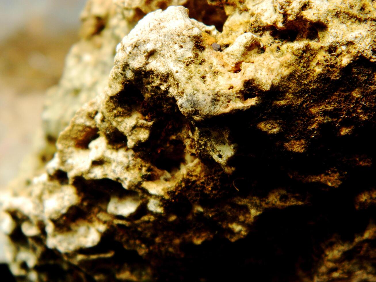 Abstract background with mountain rocks. Large shaped rocks that can be found on the shore of the sea, lake or river. photo
