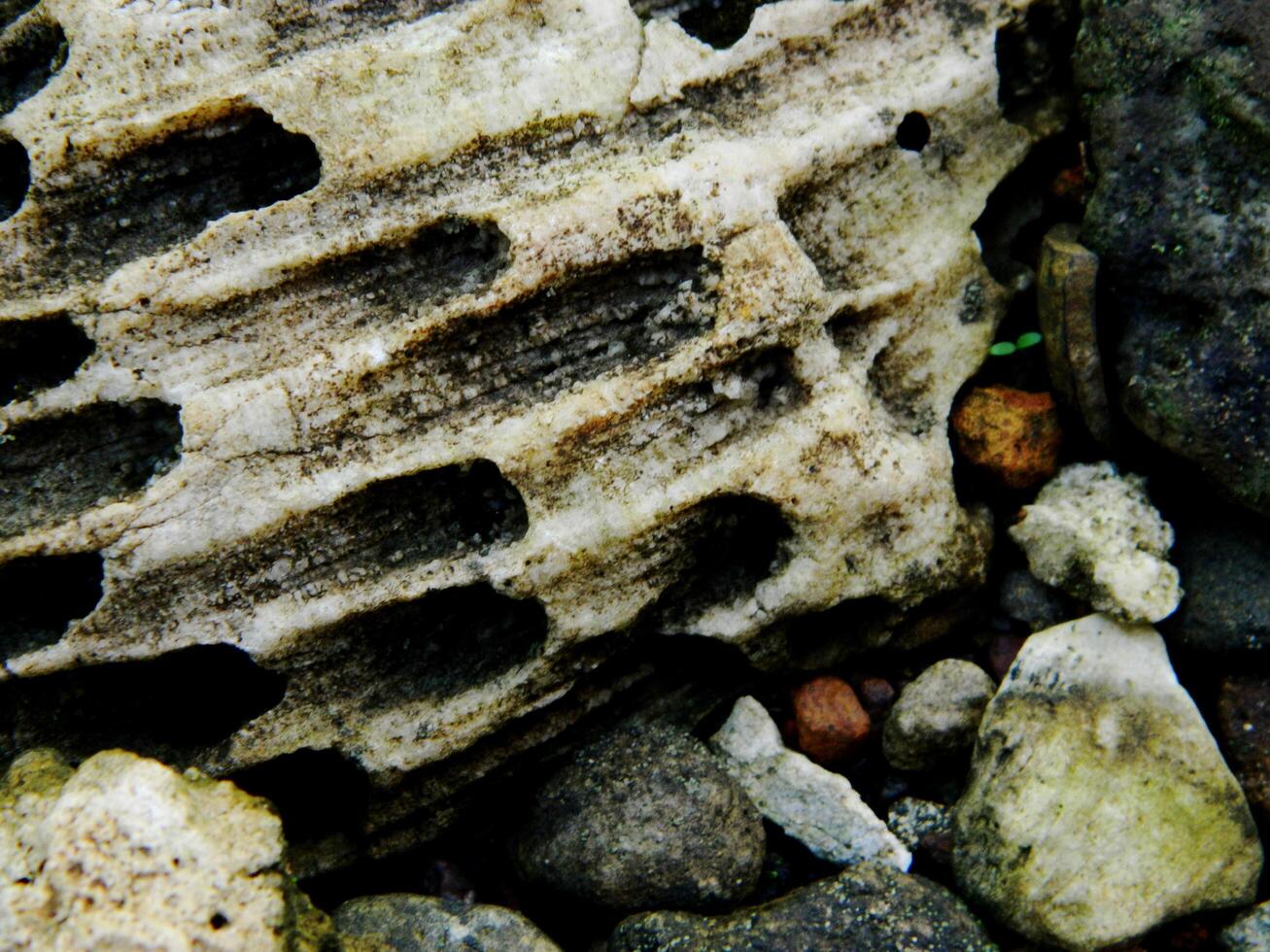 Abstract background with mountain rocks. Large shaped rocks that can be found on the shore of the sea, lake or river. photo