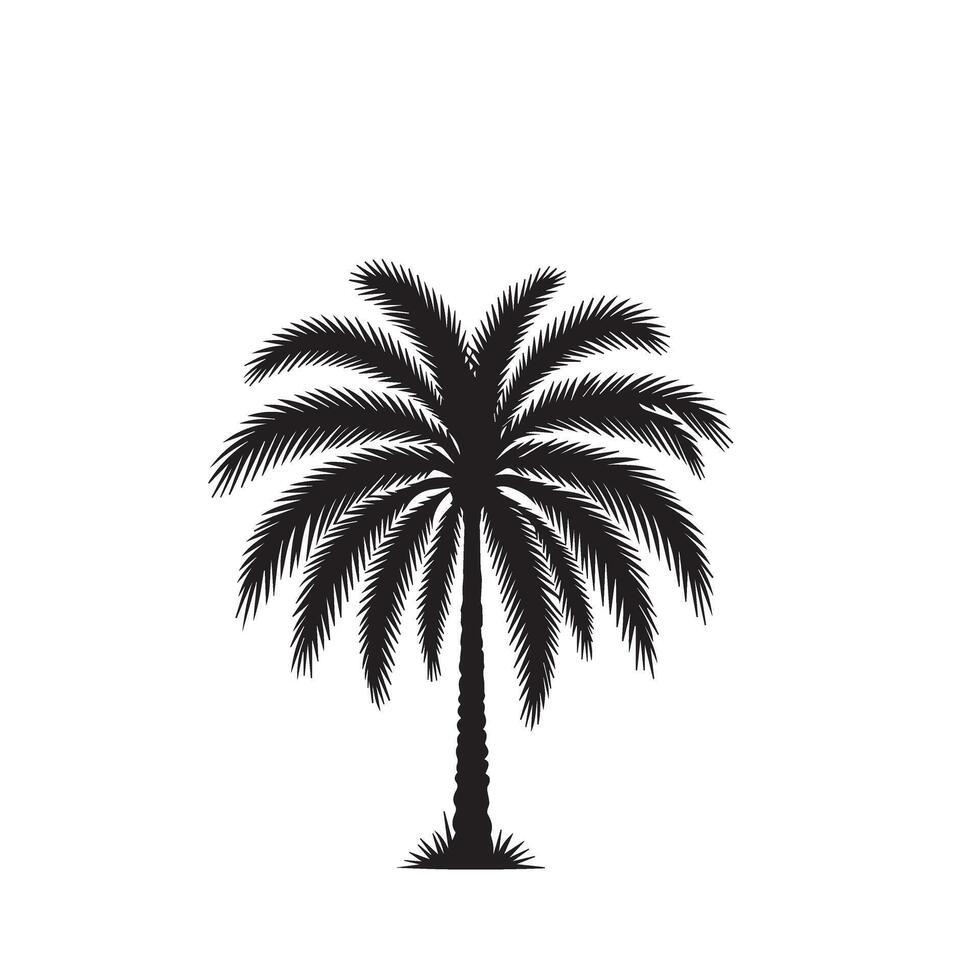 Palm tree silhouette. Tropical date tree. Palm tree silhouette, Icon and Sign. vector