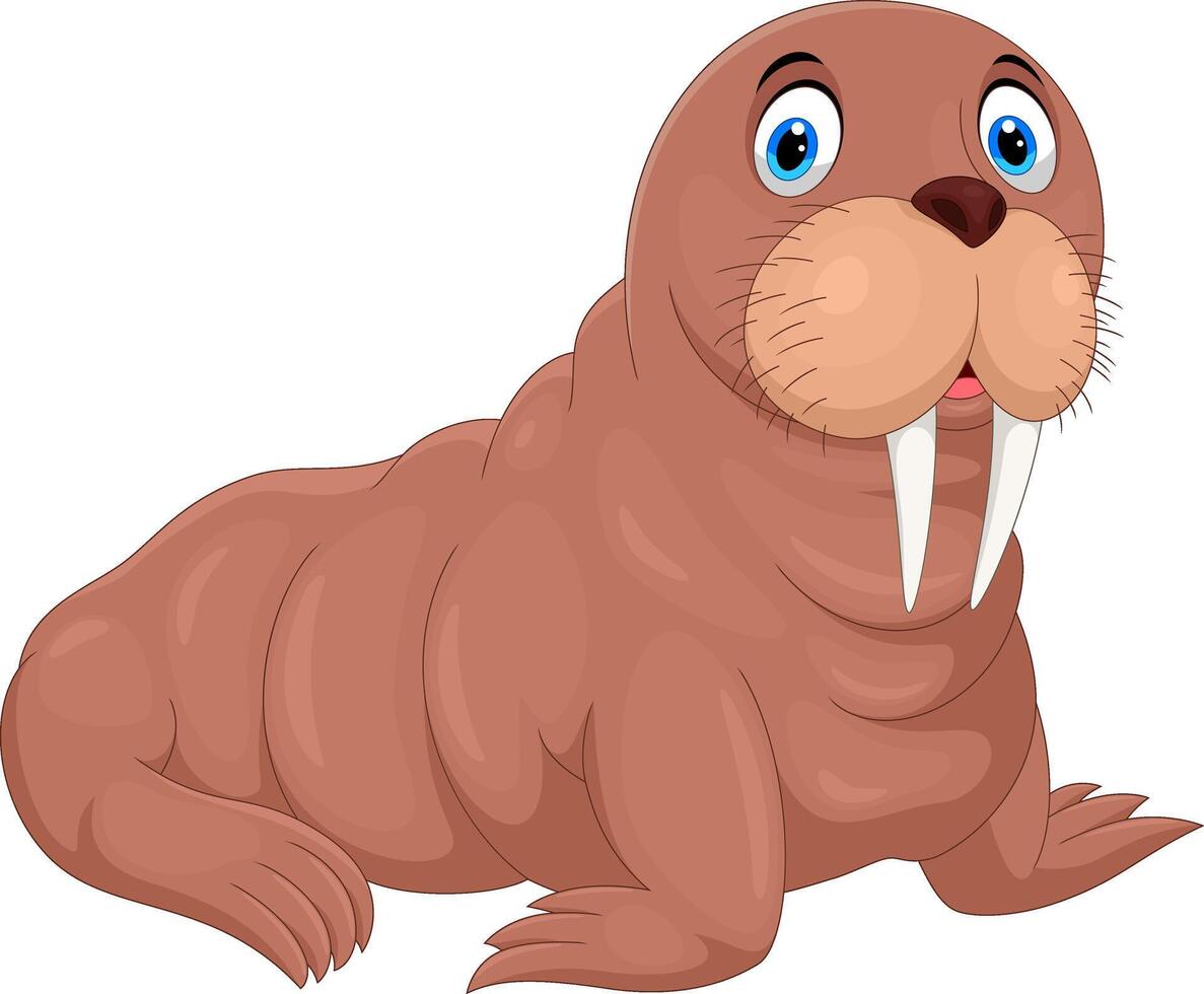 Cartoon funny walrus on white background vector