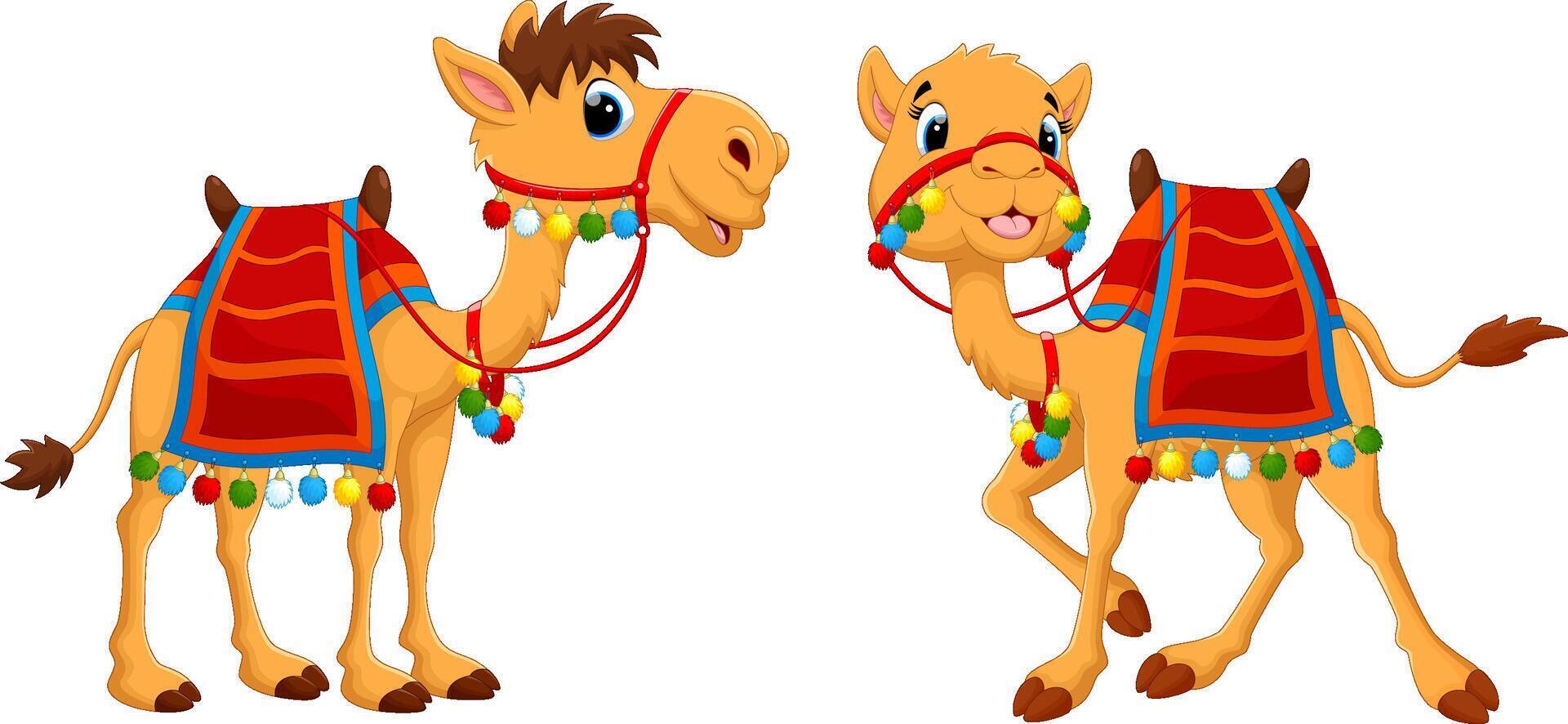 cartoon happy camel on white background vector
