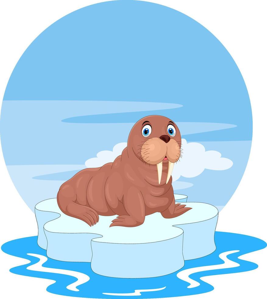 Cartoon funny walrus on white background vector