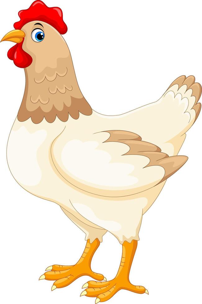 Cute cartoon hen on white background vector