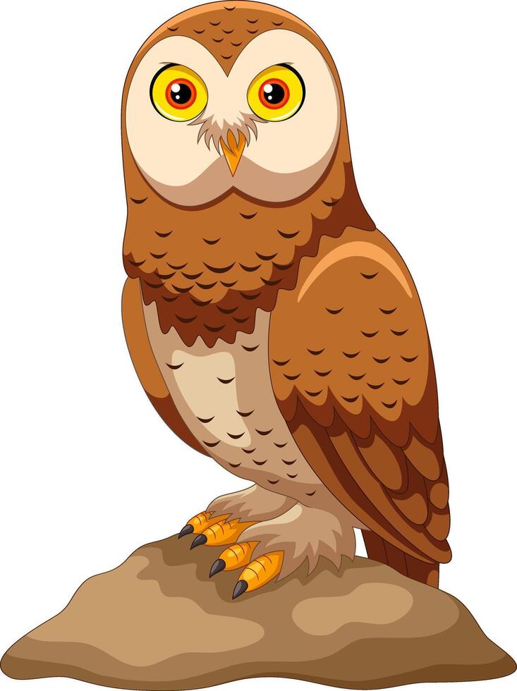 Cartoon owl isolated on white background vector
