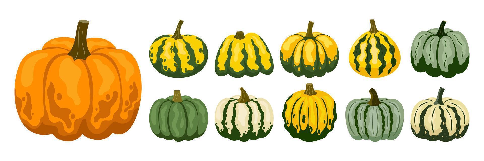 Set of various pumpkin illustrations in cartoon groovy funky style. Collection of different shapes gourds. Cute colored, flat pumpkin autumn harvest, fall. vector