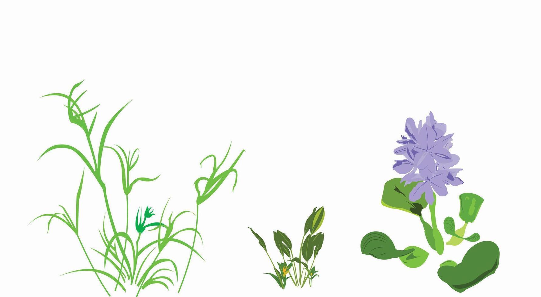 Water plants illustration vector