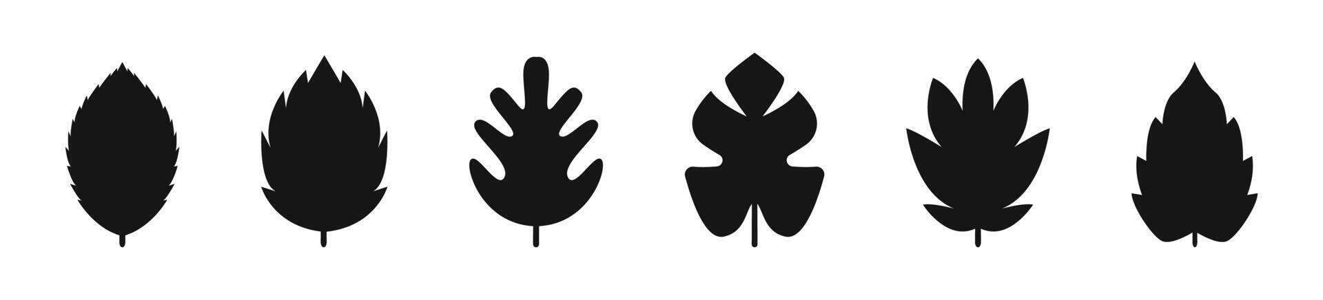 Leaf icon. Tropical plant symbol vector