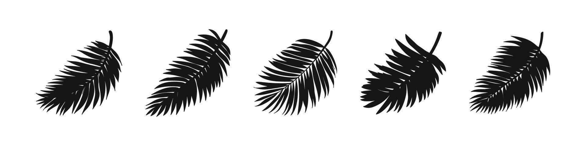 Tropical leaves icon. Nature silhouette vector