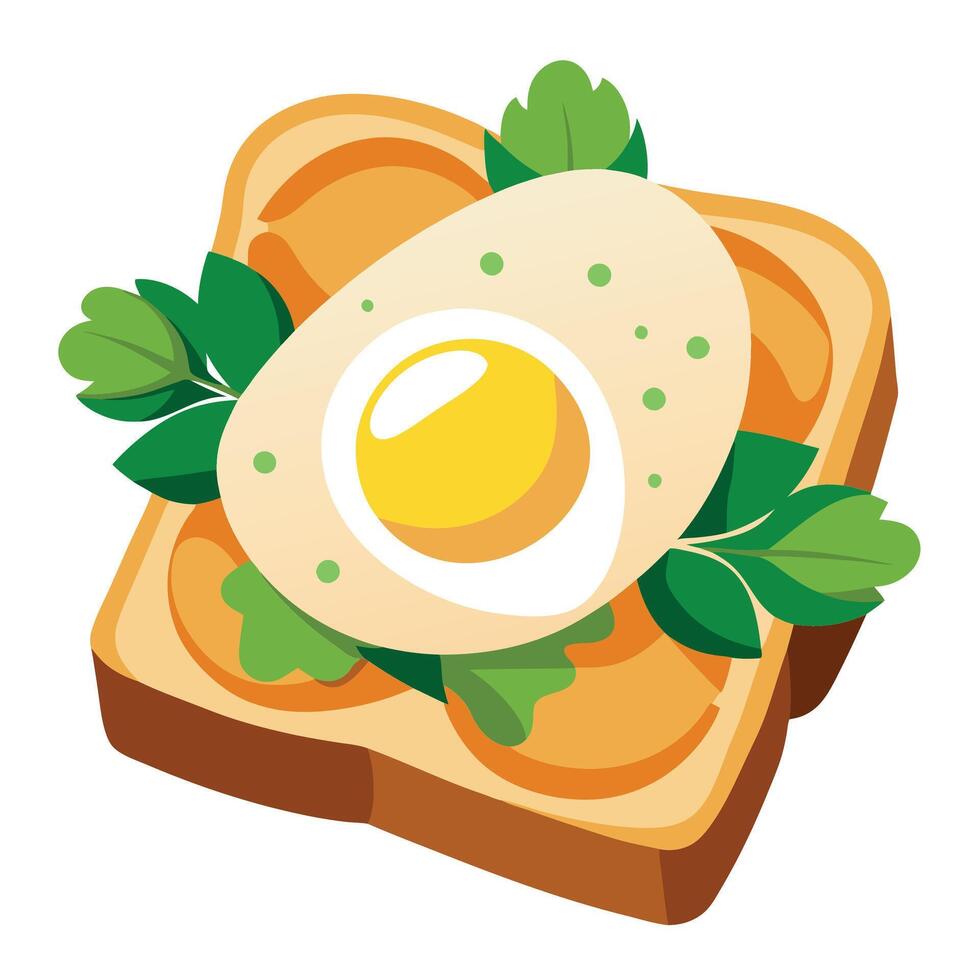Eggs on toast. sourdough bread. garnished with greens. breakfast photo. food photography vector