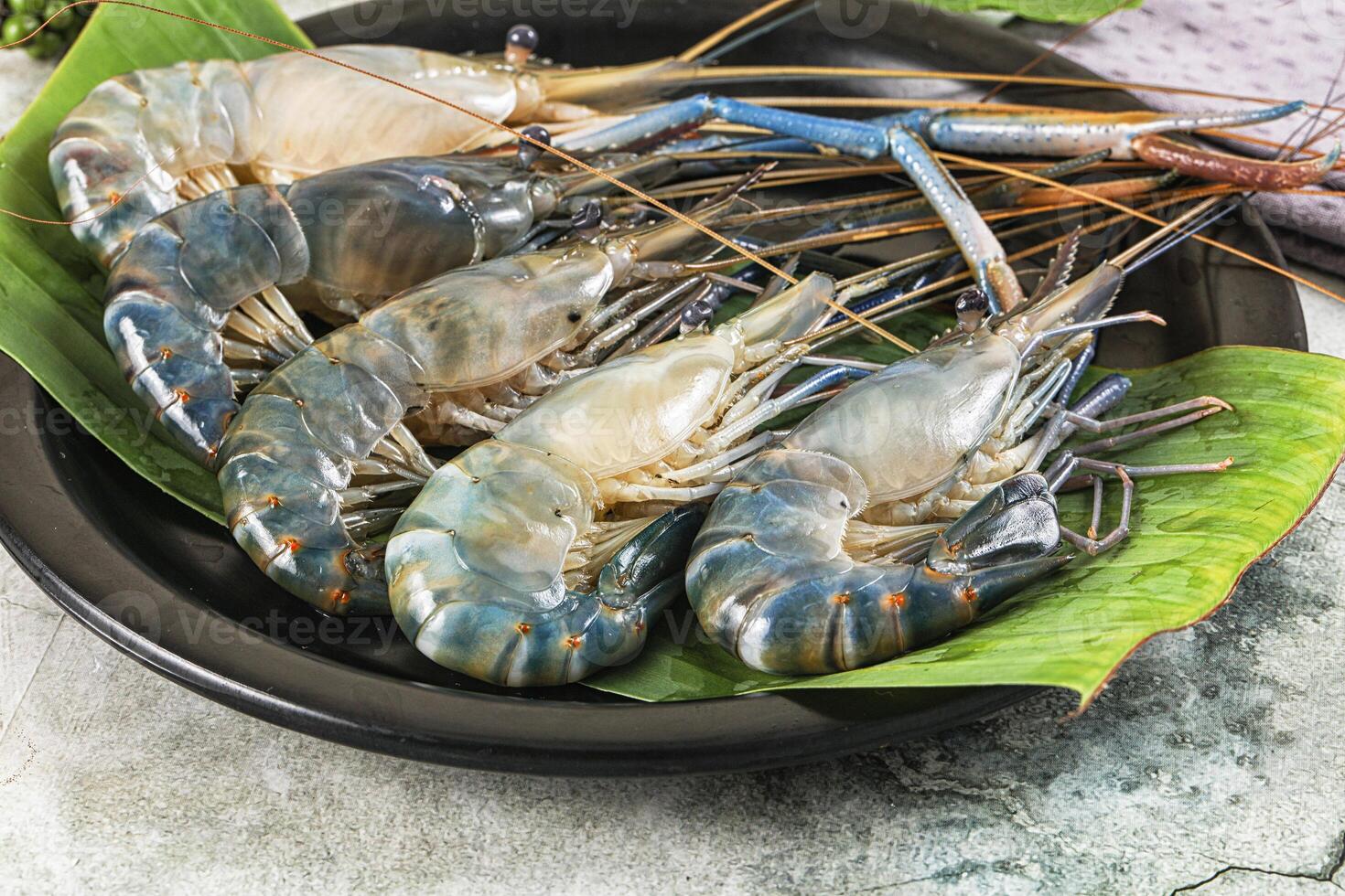 Raw blue river prawn in the plate photo