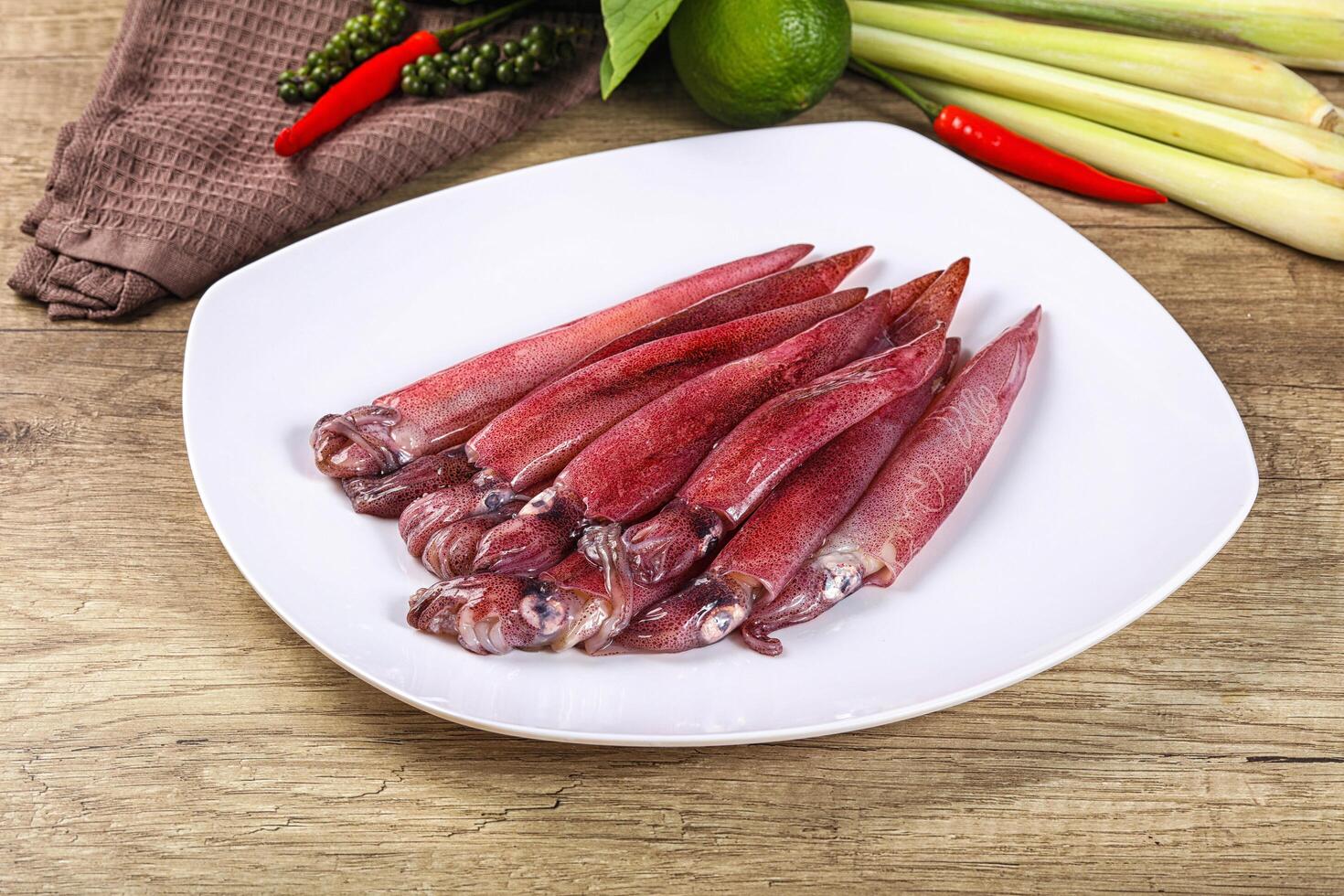 Raw fresh squids for cooking photo