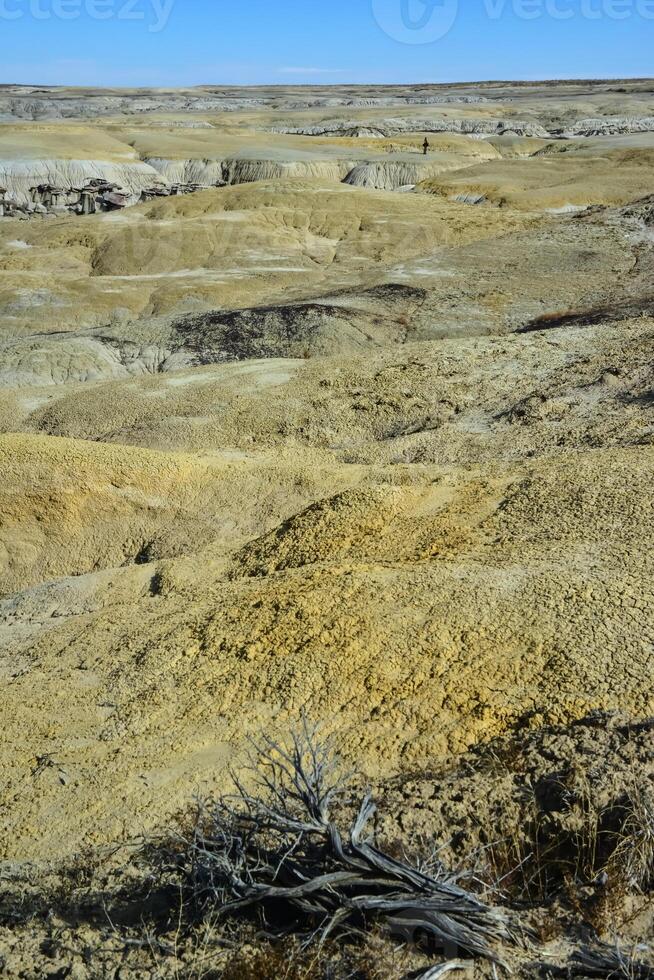 Weird sandstone formations created by erosion at Ah-Shi-Sle-Pah Wilderness Study Area in San Juan County near the city of Farmington, New Mexico. photo