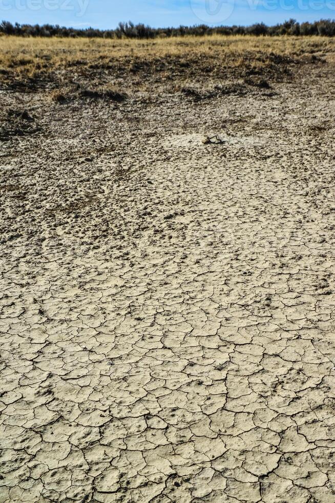 Cracked red clay and white salt on the surface in a dried riverbed in the desert of New Mexico, USA photo