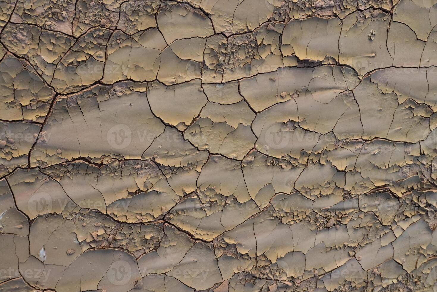 Cracked red clay and white salt on the surface in a dried riverbed in the desert of New Mexico, USA photo