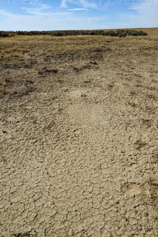 Cracked red clay and white salt on the surface in a dried riverbed in the desert of New Mexico, USA photo