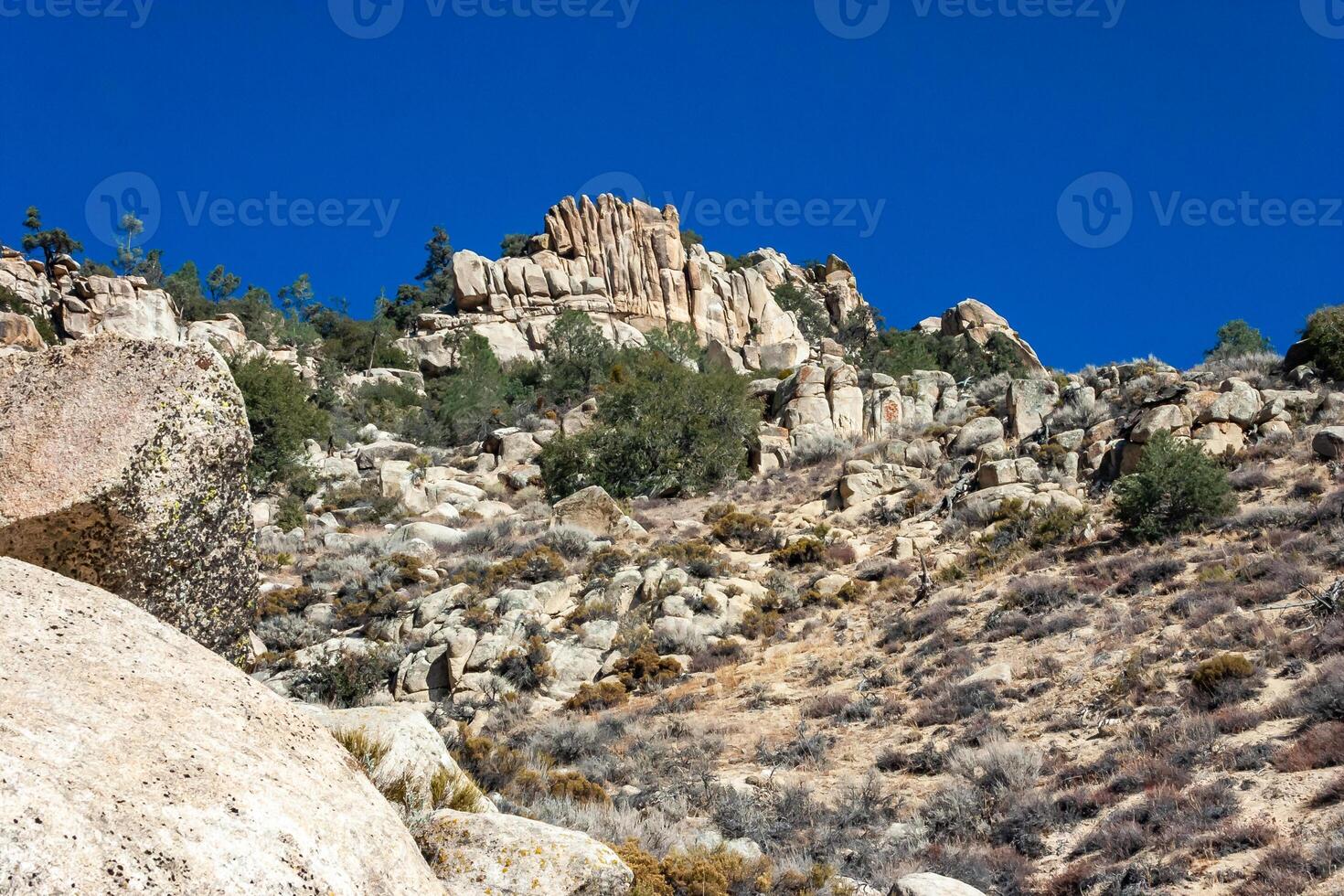 Conifers and other drought-resistant plants grow on the clay and stone rocks of the mountain at the pass in the Sierra Nevada Mountains, California, USA photo