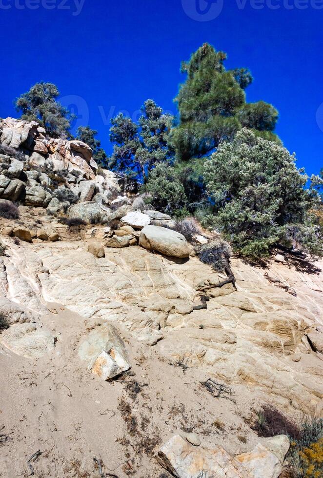 Conifers and other drought-resistant plants grow on the clay and stone rocks of the mountain at the pass in the Sierra Nevada Mountains, California, USA photo