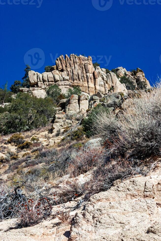 Conifers and other drought-resistant plants grow on the clay and stone rocks of the mountain at the pass in the Sierra Nevada Mountains, California, USA photo