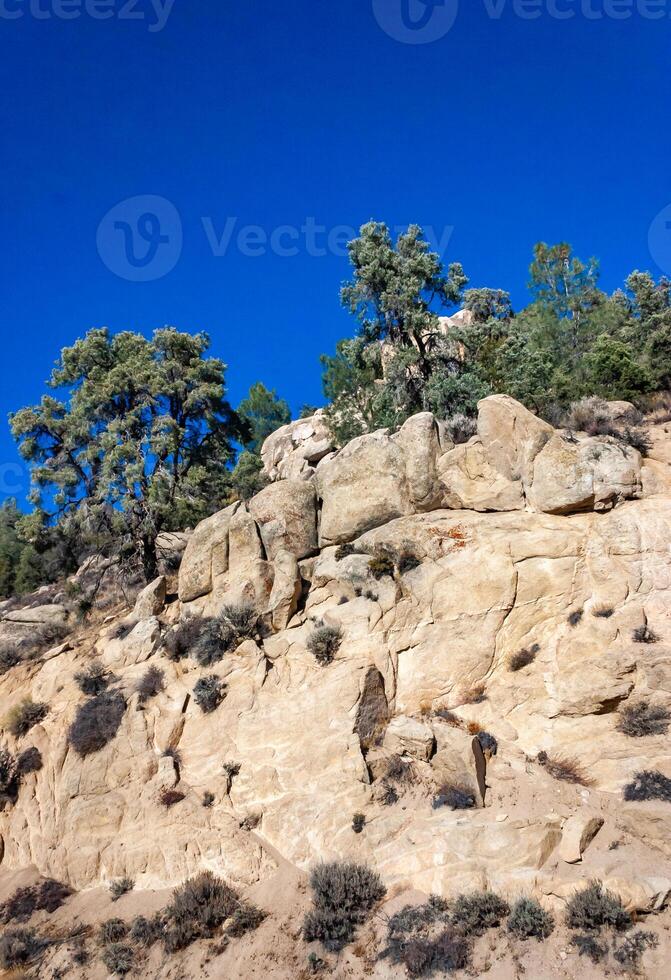 Conifers and other drought-resistant plants grow on the clay and stone rocks of the mountain at the pass in the Sierra Nevada Mountains, California, USA photo