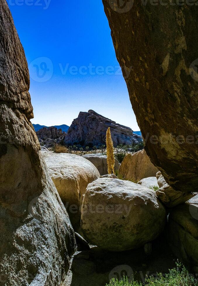 Desert mountain rock landscape in Joshua Tree National Park, California photo