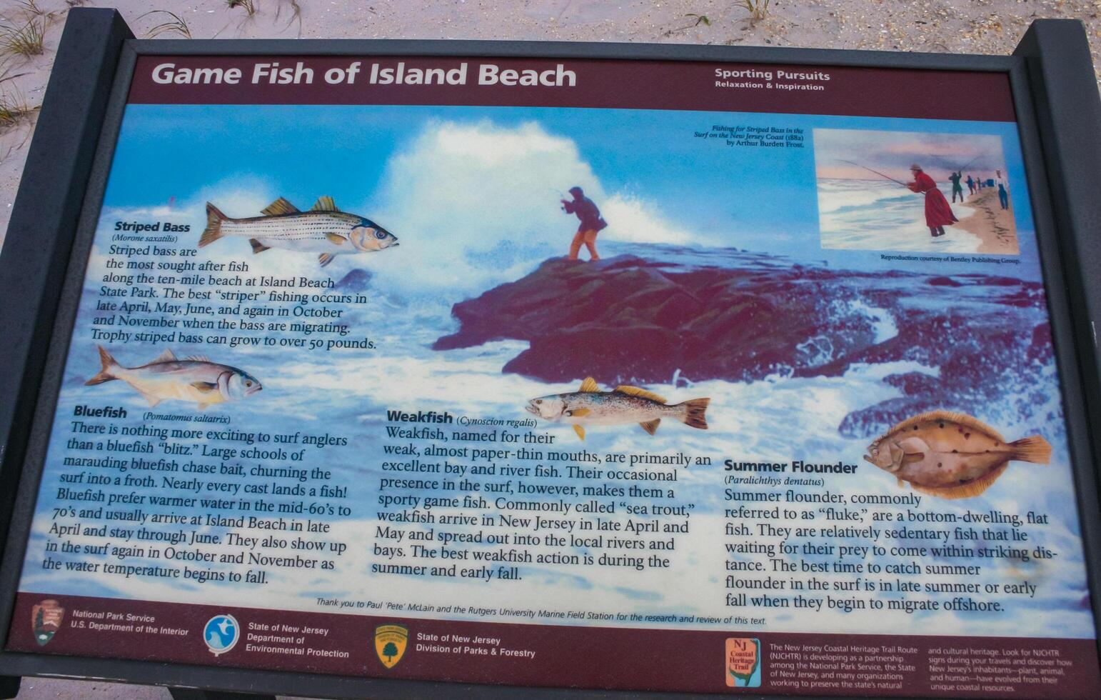New Jersey, USA - November 19, 2009 information signs on coastal sand dunes, Island Beach State Park photo