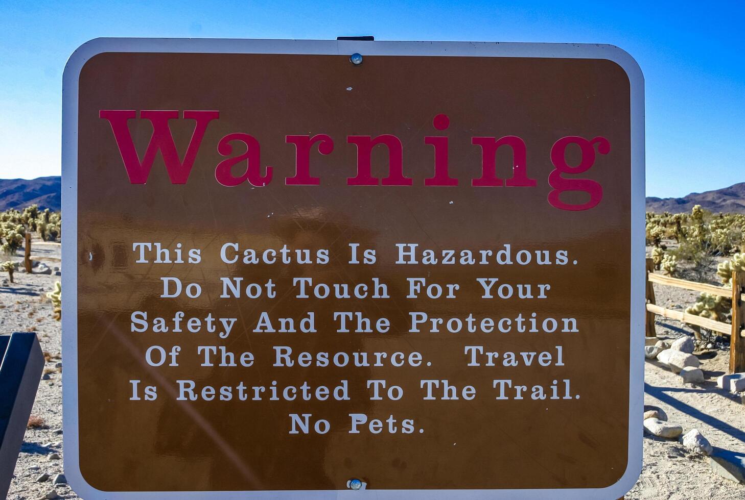 Joshua Tree, California - November 24, 2009 Cholla Cactus hazard warning board, Joshua Tree NP, California photo