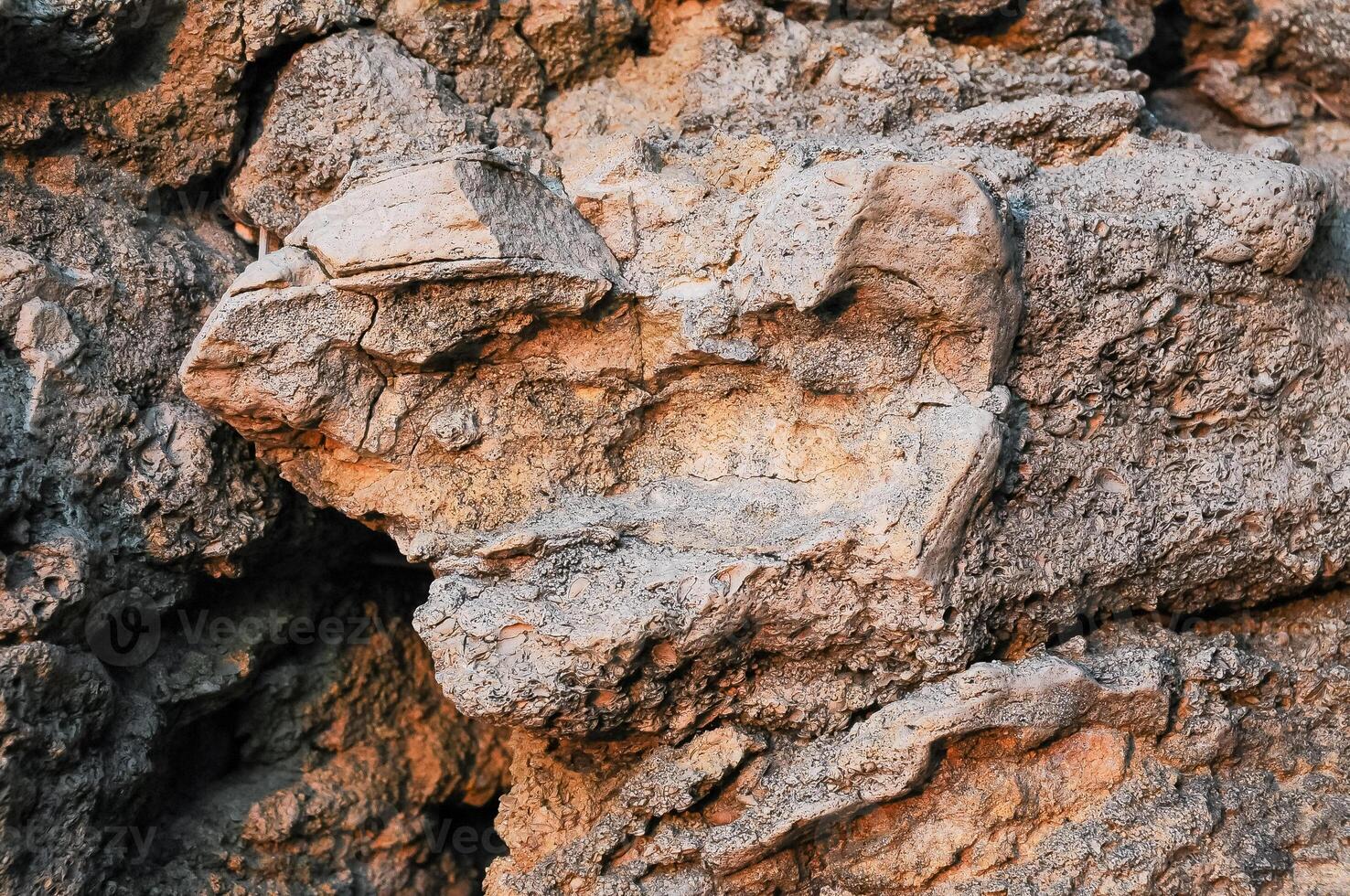 The texture of the wave-polished stone coast of Pontic limestone in the Crimea photo