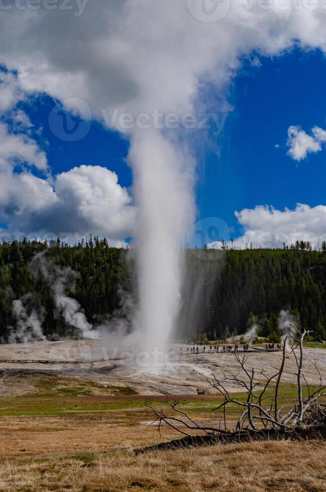 Geyser Old Faithful erupts in Yellowstone National Park in Wyoming, US photo